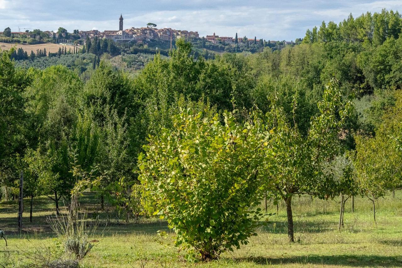 Agriturismo La Valle Peccioli Екстер'єр фото